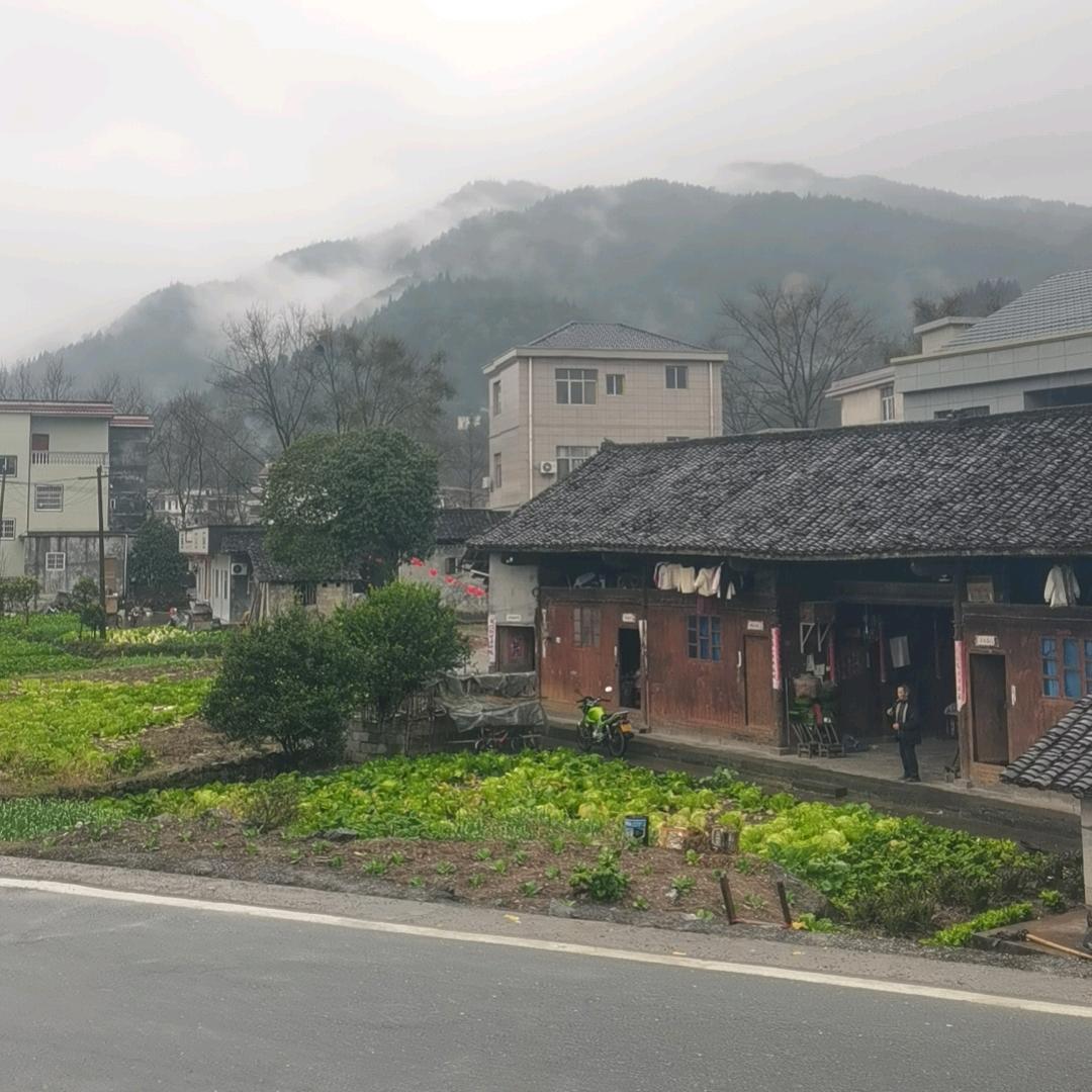 白蒋军