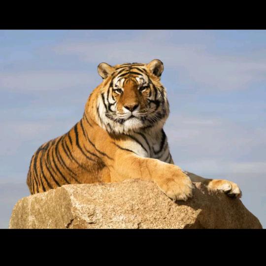 大美修武（拒绝私聊）