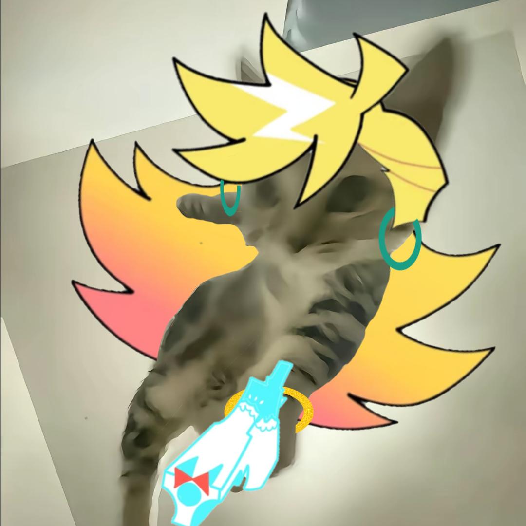 愚冬