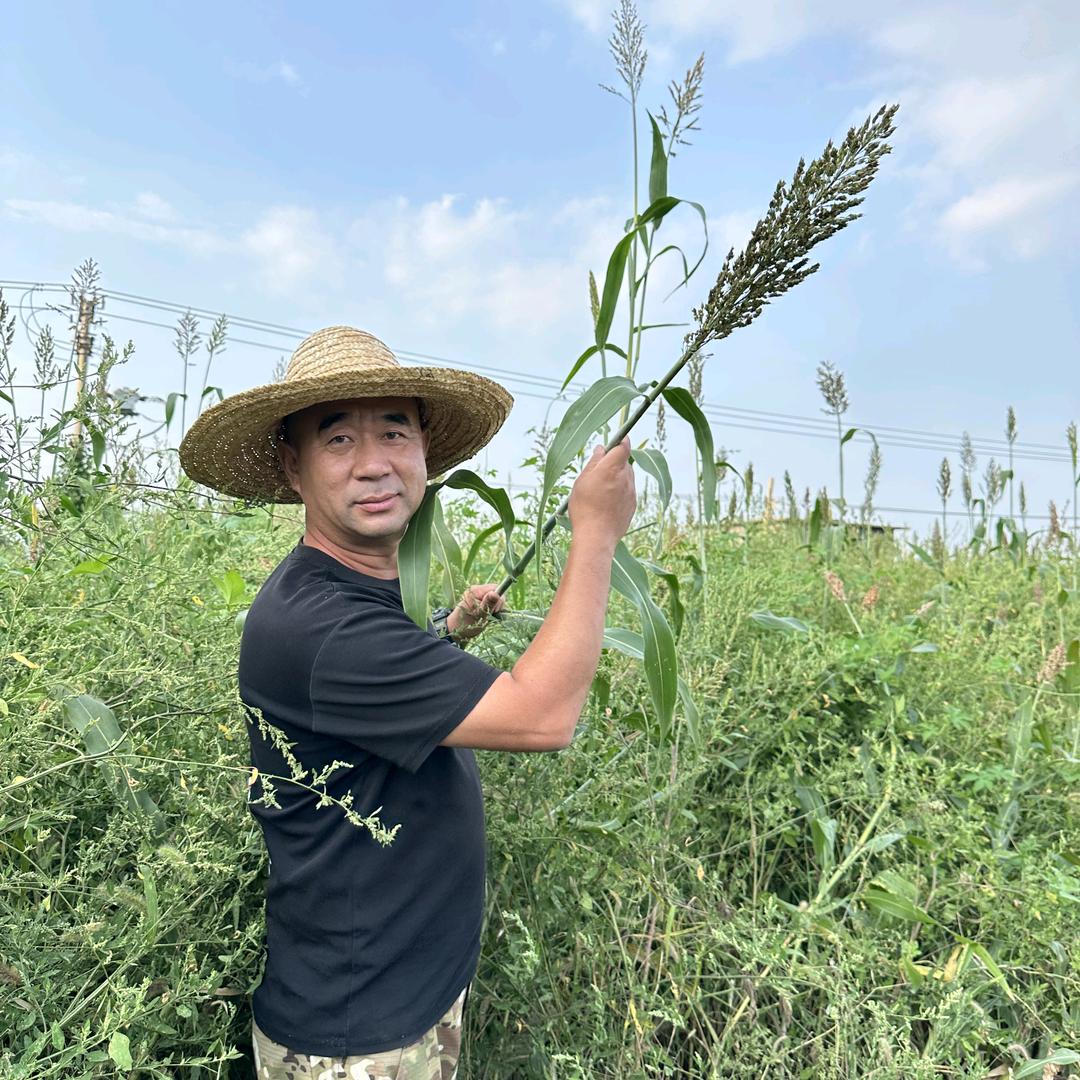 星火农场赵大伟