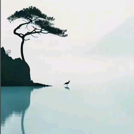 小颖有话说