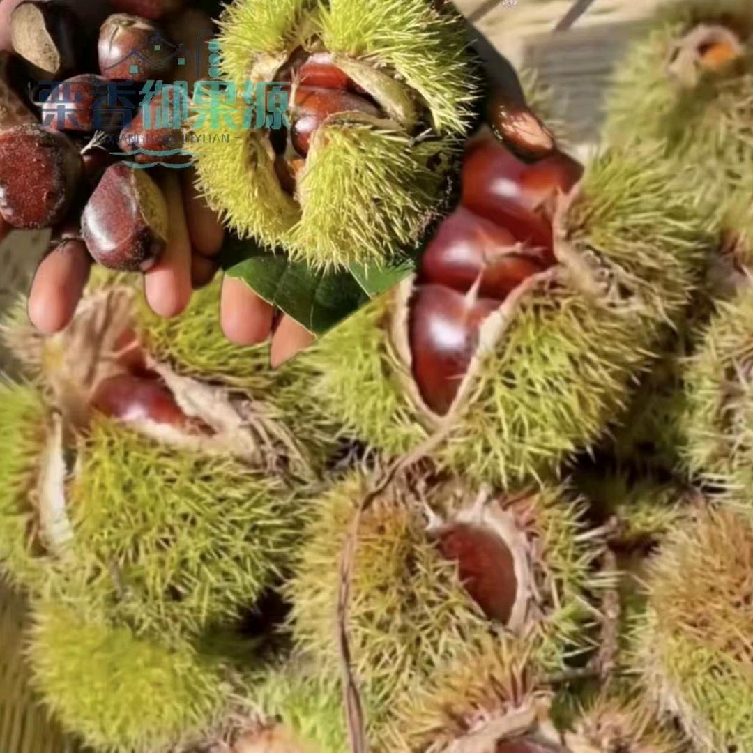 迁西新哥种植农场优品铺子