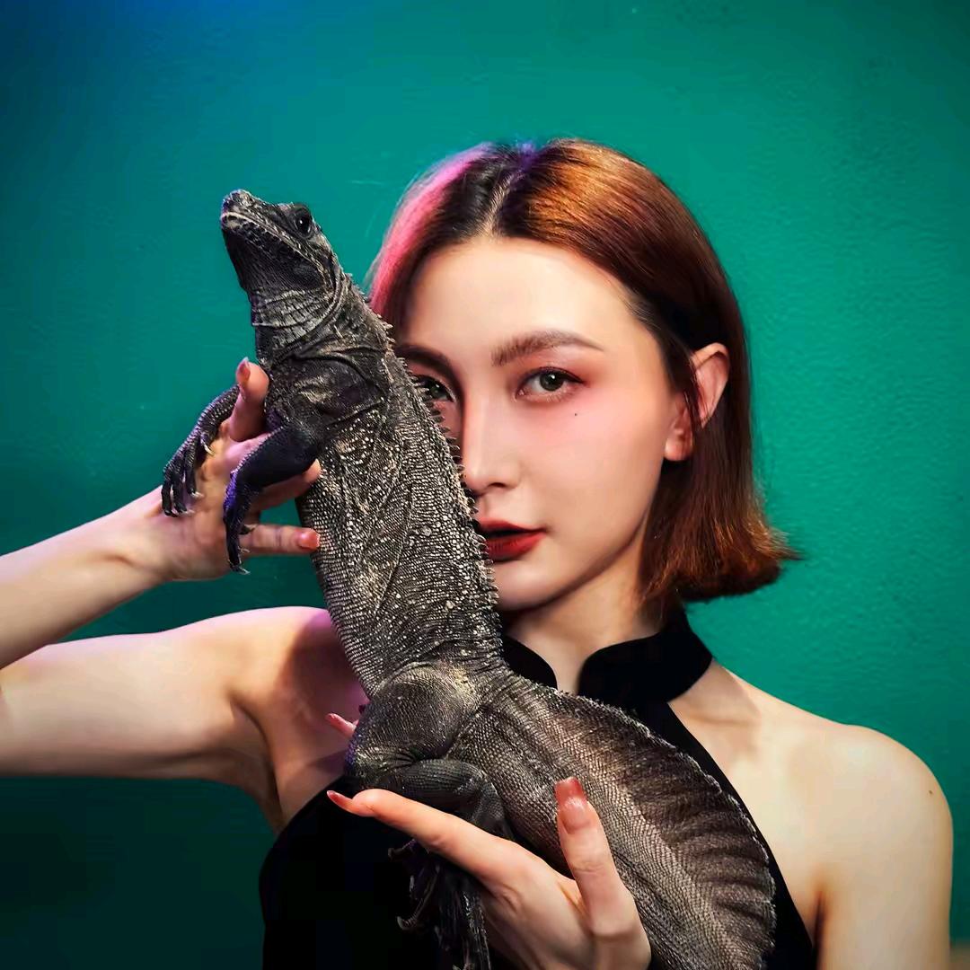养爬姑娘爬宠店