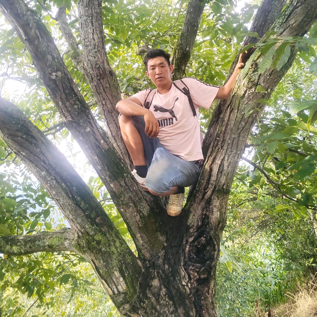 漾濞土特产