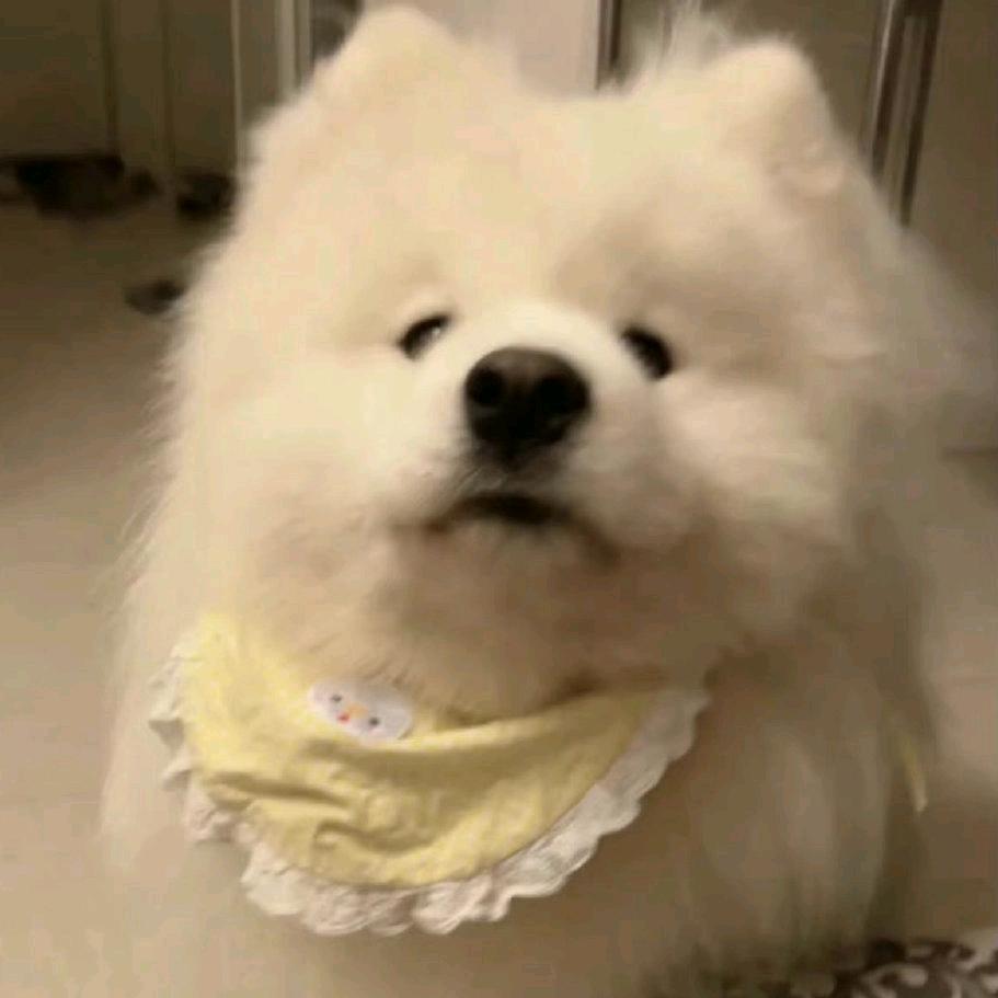 芙芙