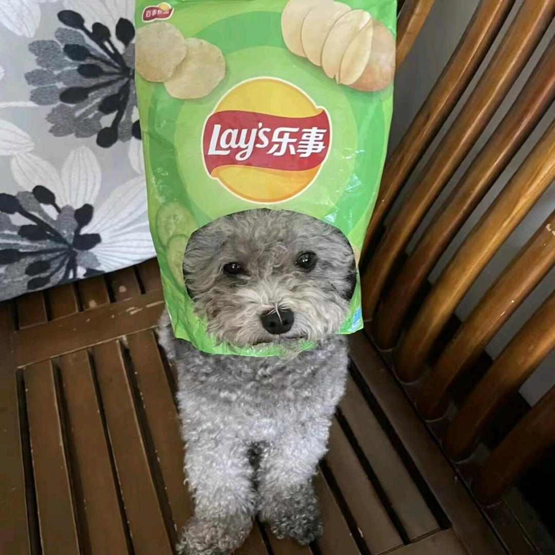 ---