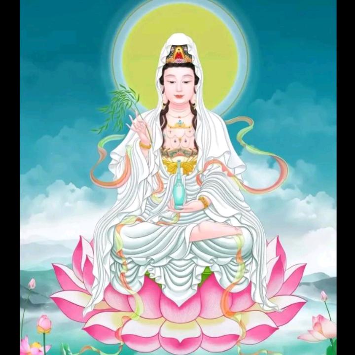 牛牛哥（向往自由）💰💰💰🌺🌺?