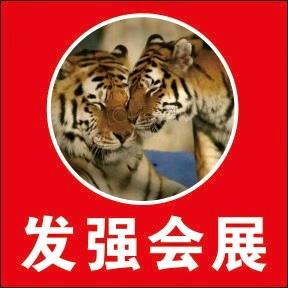 发强会展