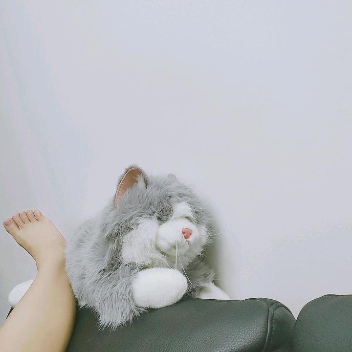 星星