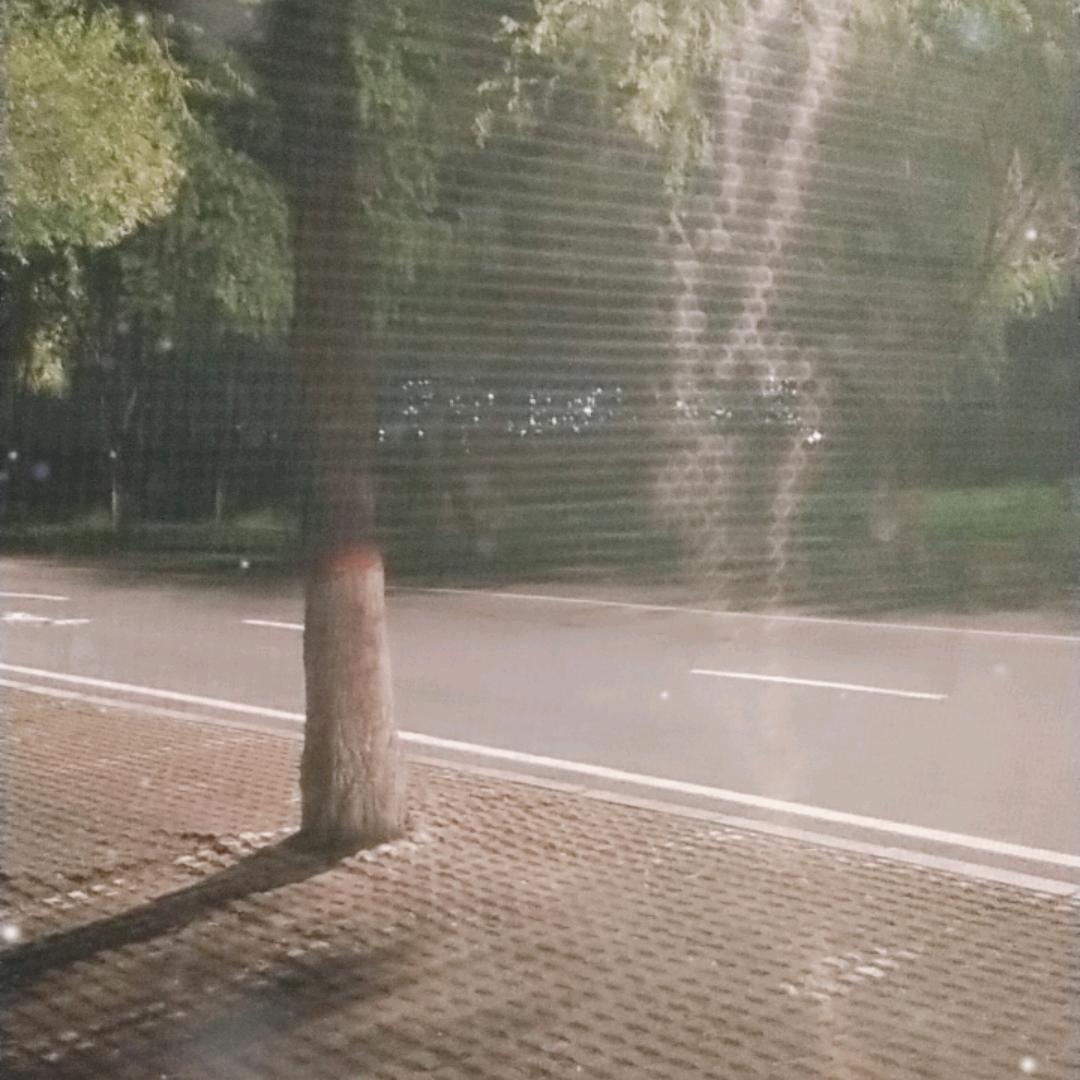 @孤狼流浪生活（自驾游）