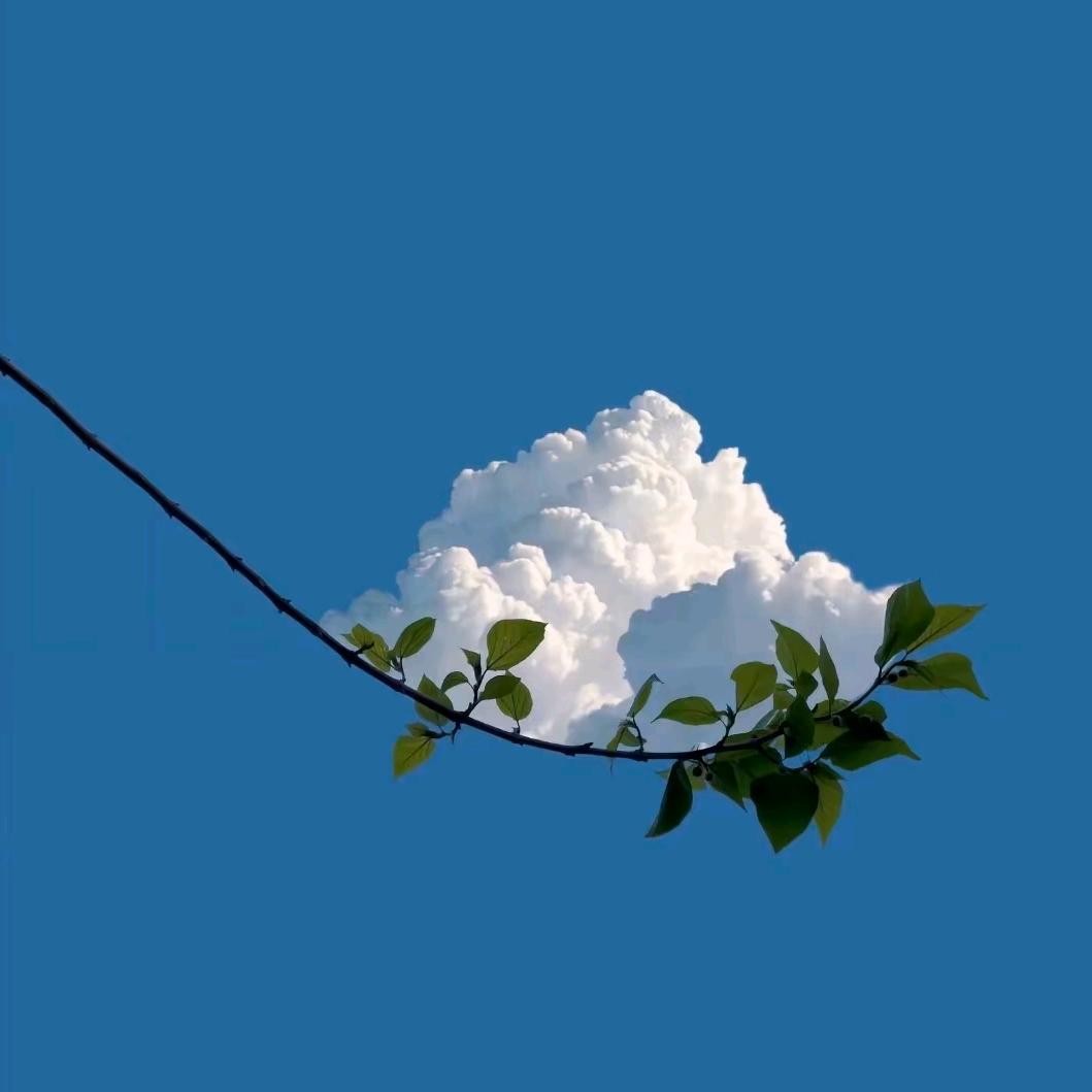 888电器 橙橙🍊🍊