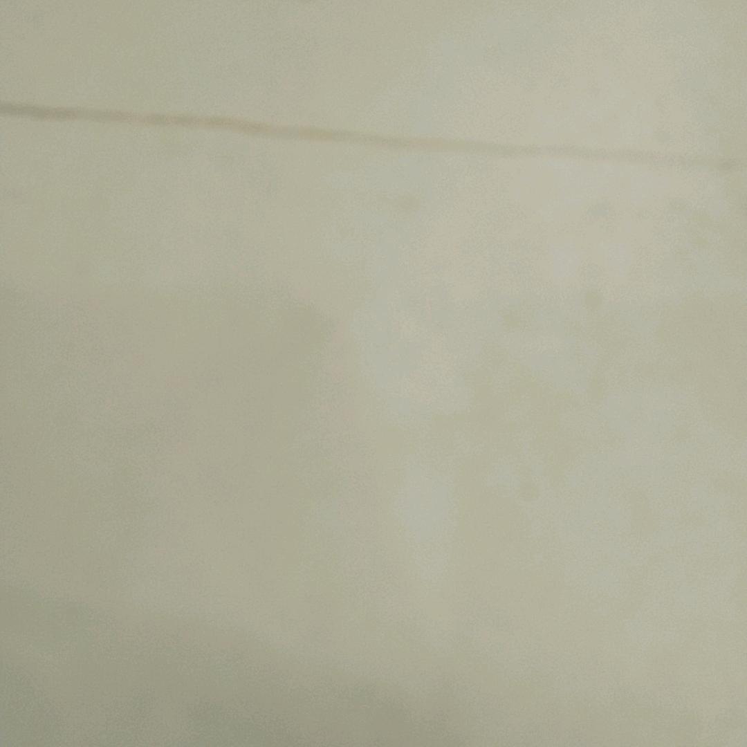 cfcf8888