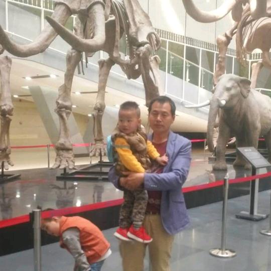 🕊无坚不崔@🐉🎋🌿