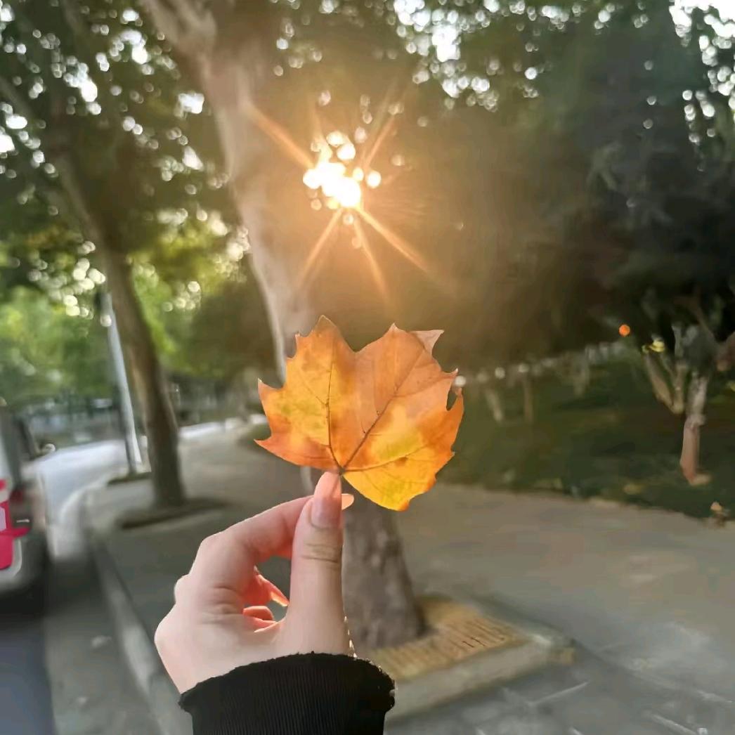你