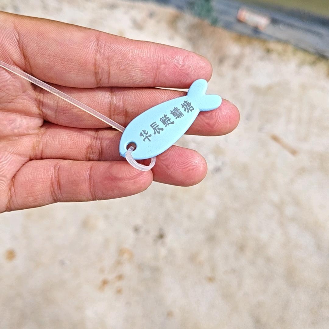 华辰垂钓中心