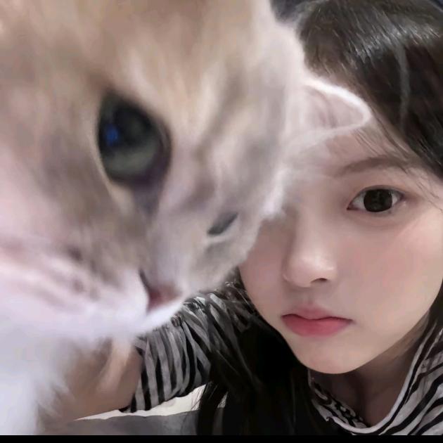 烧凯点忑啸躲赵赵晶子