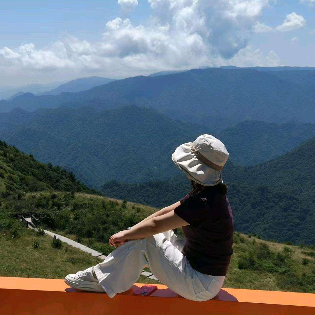 流芸(扶风县步步高，荣耀手机）