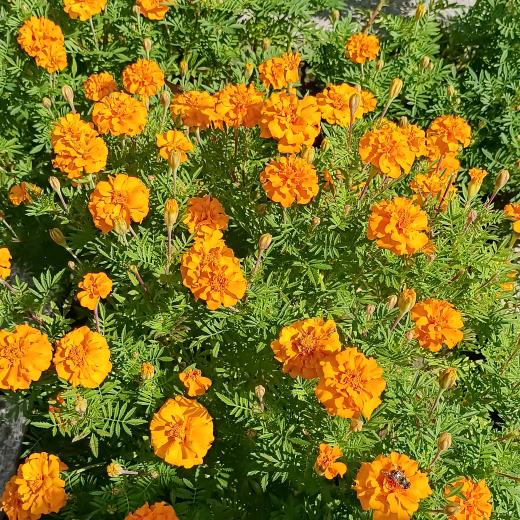 贺🌷贺🌹有名5612