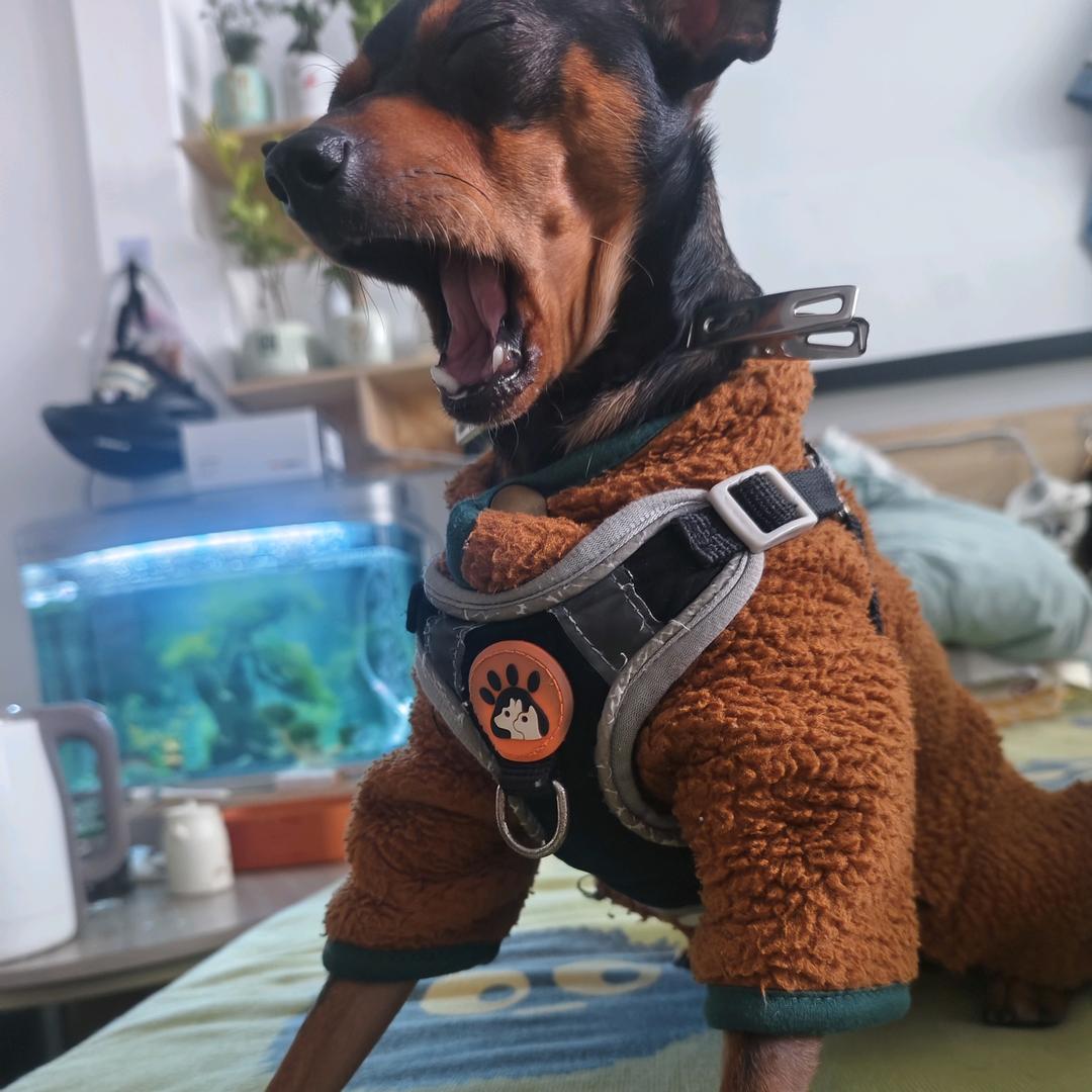 做个俗人