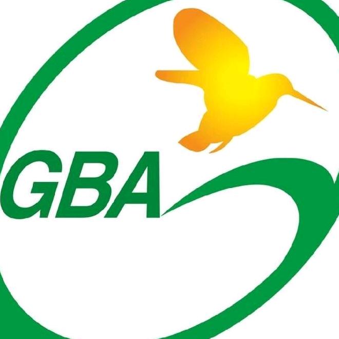 GBA羽毛球俱乐部