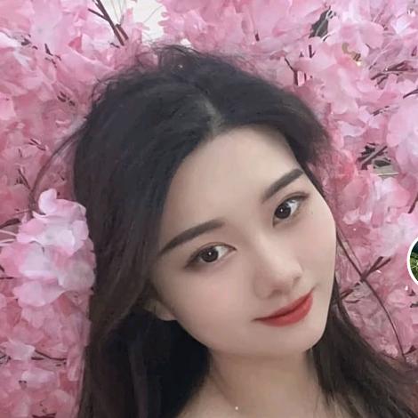 菜板宠兔子
