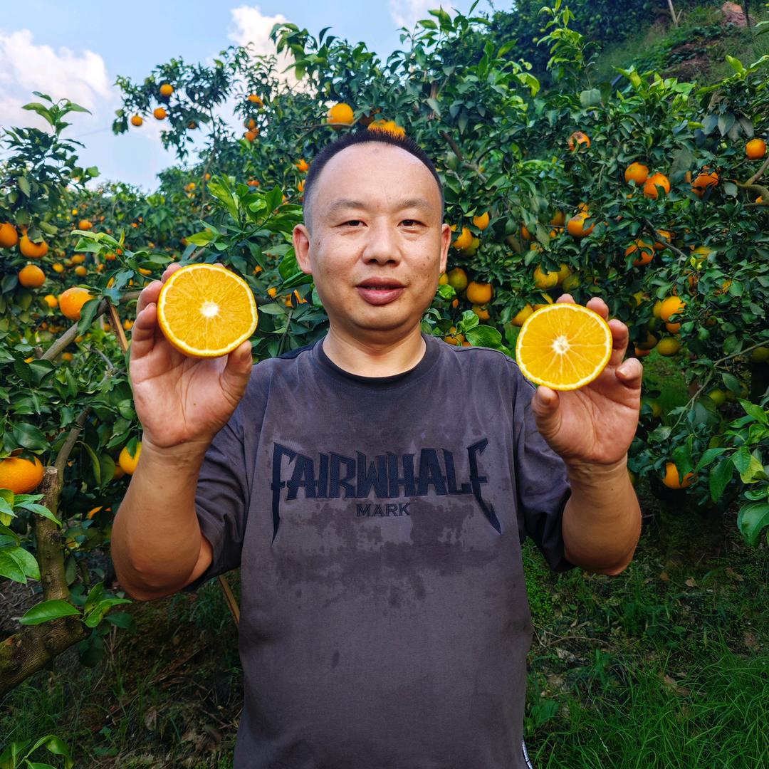 山获·橙园（王高）