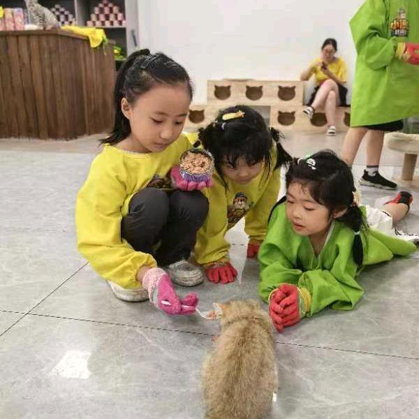 时光不要离我而去......