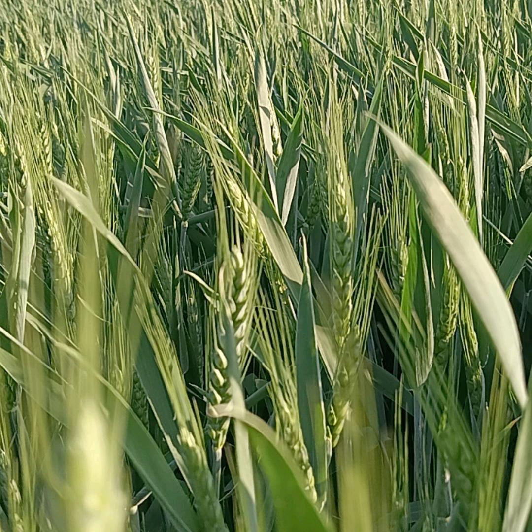 你是我最美的相遇！