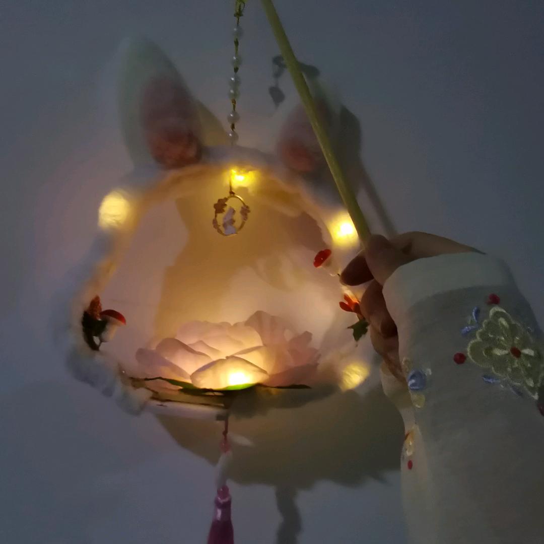 嘟嘟酱是Leoの猫🐾