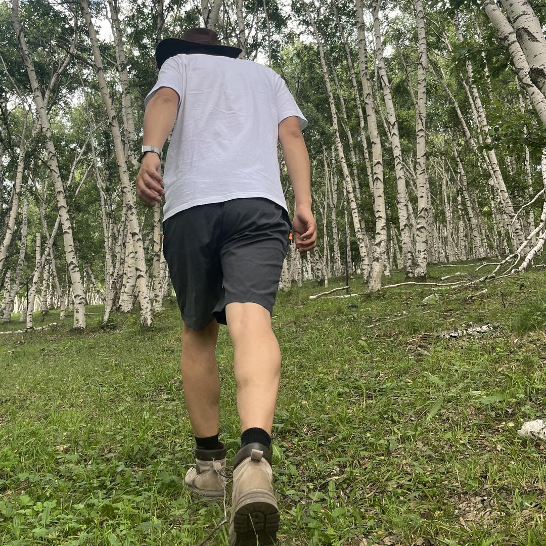 种完小麦往西走