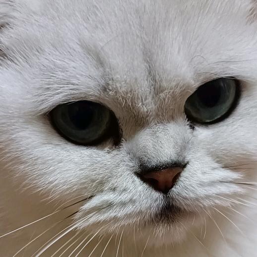 小蜜蜂摸电门