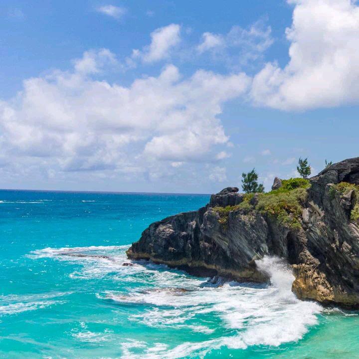 山姆会员超市明日达