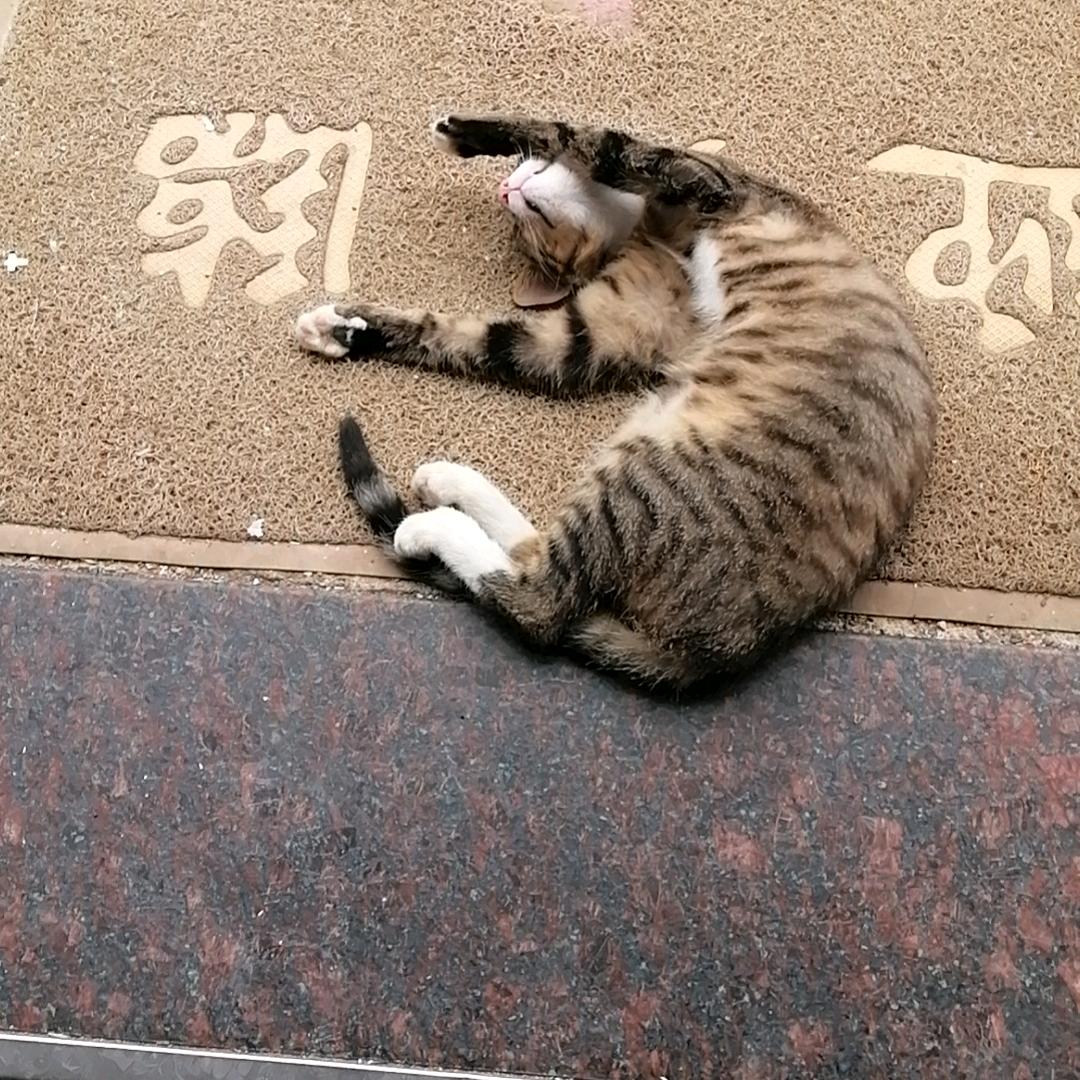 木易^0^杨