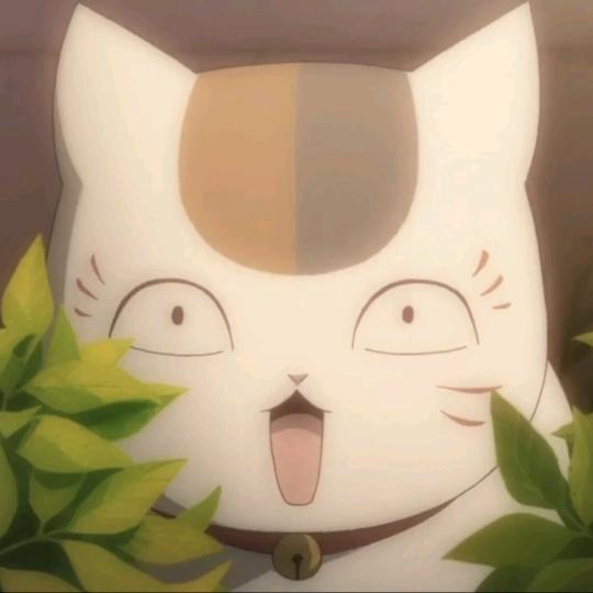 最怕年上了头像