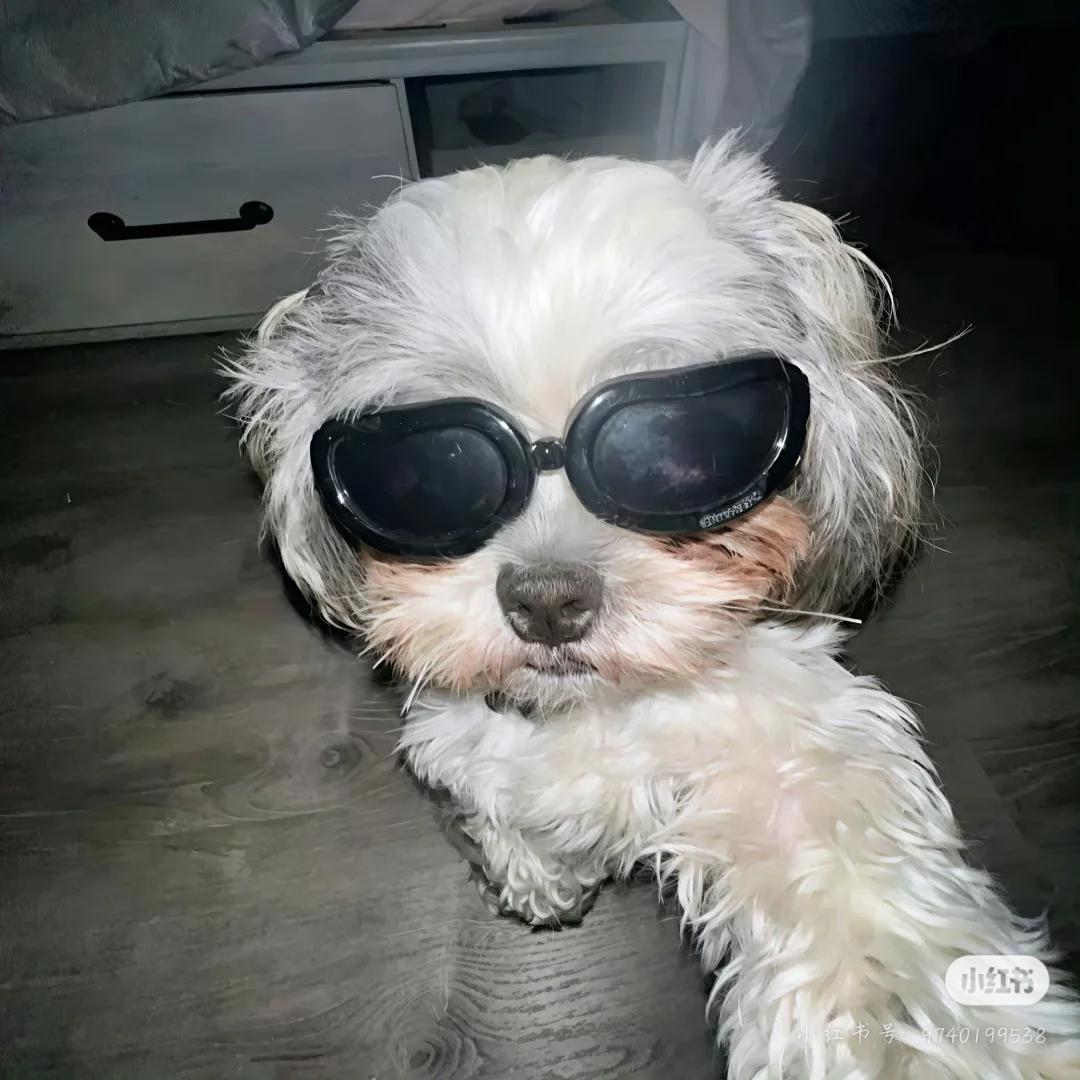你的夏来了