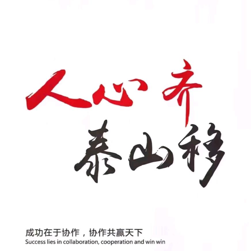 新能源车队
