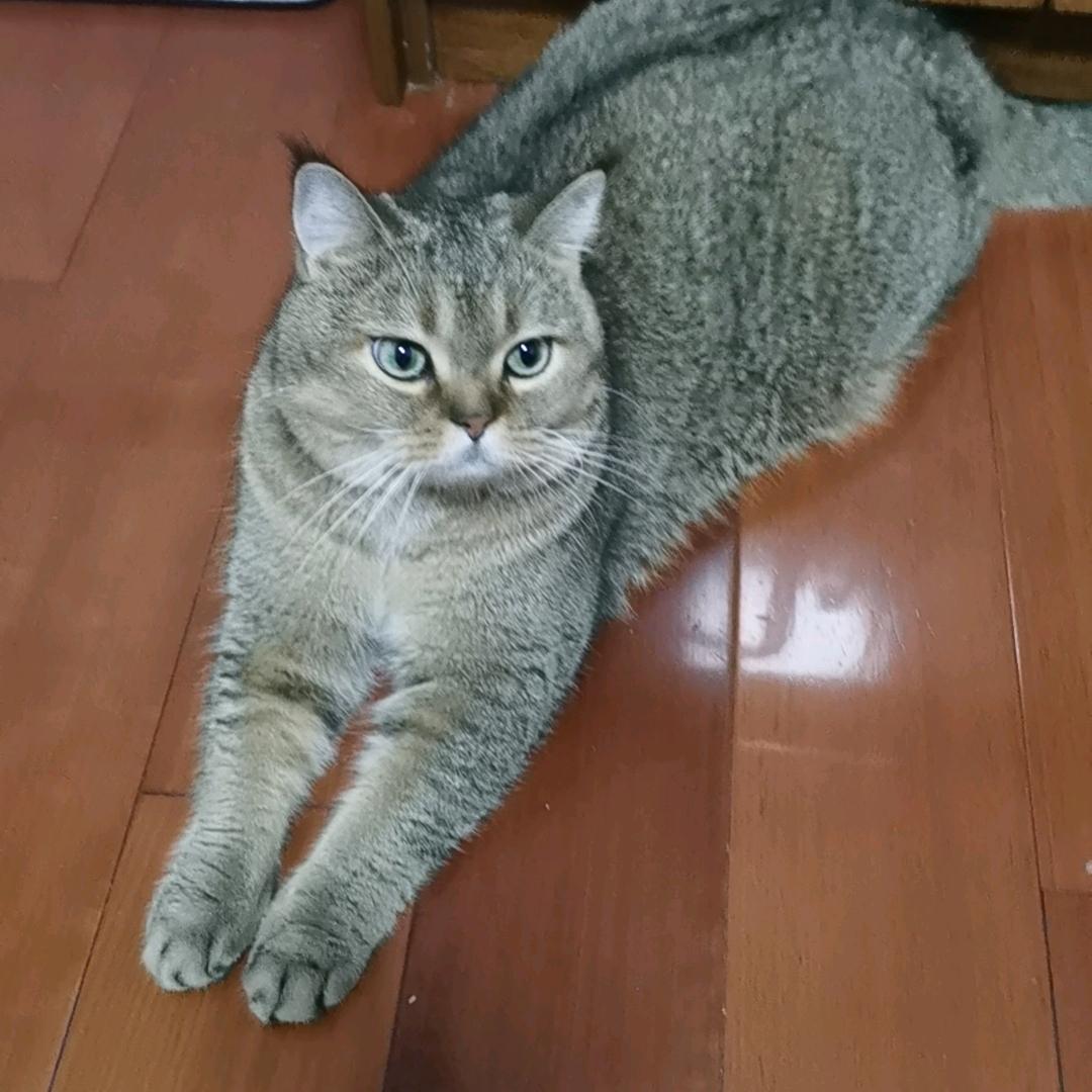 龙爷
