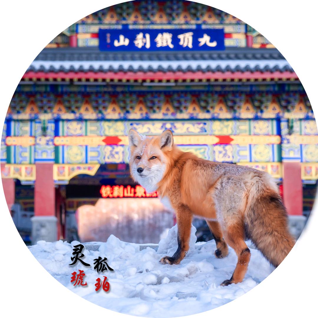 火狐琥珀
