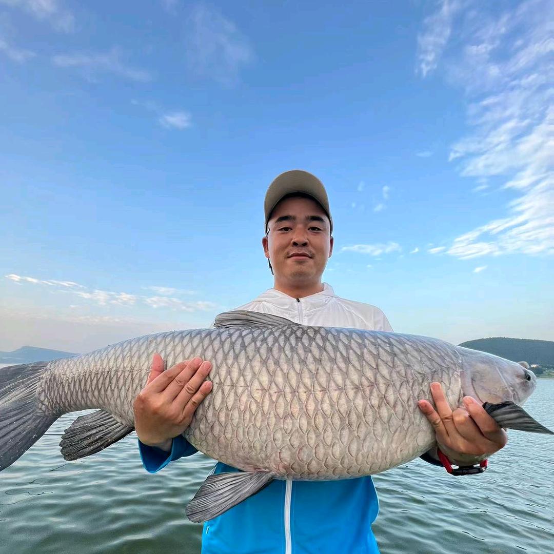 高川林钓鱼