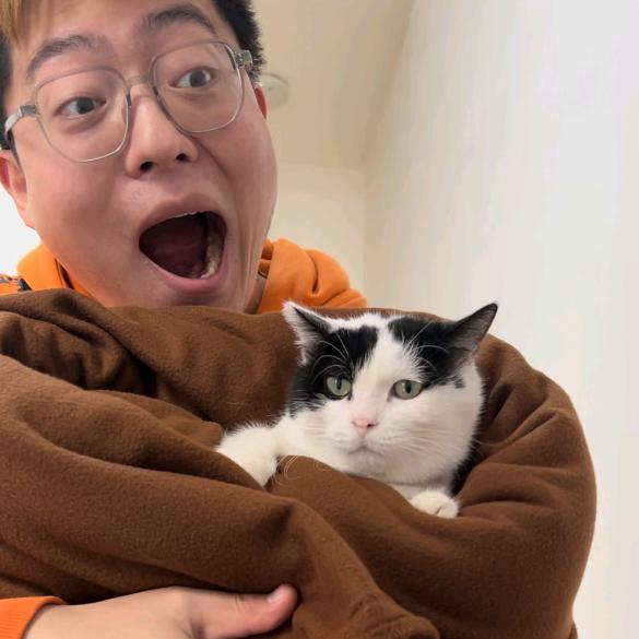 明月的猫儿园