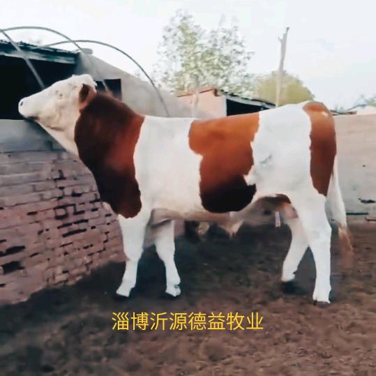 淄博沂源德益牧业