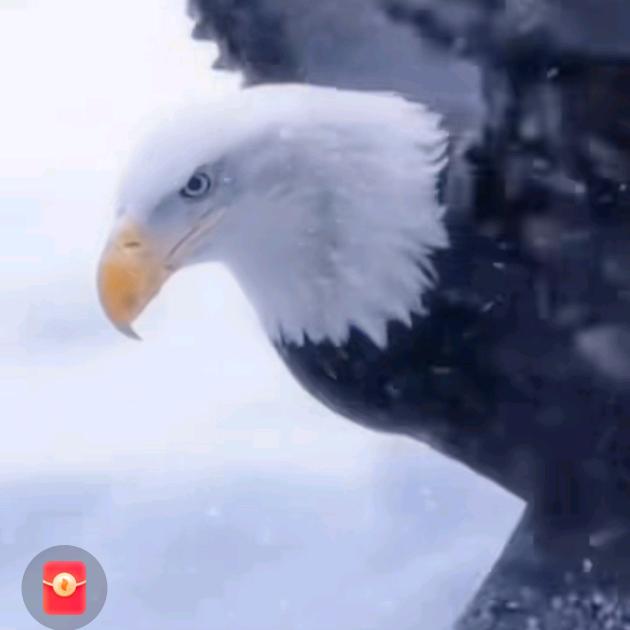 在意