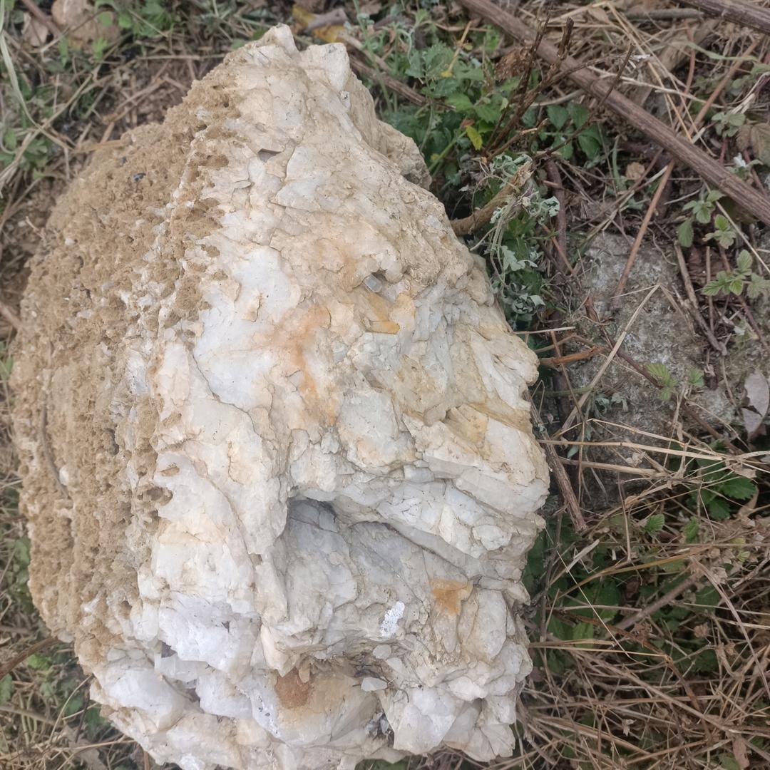 用户295882308606雾里看花