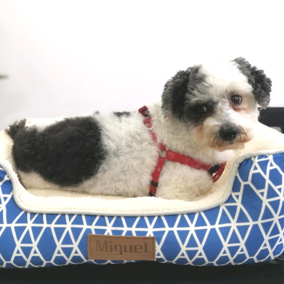 爱凯能宠物用品精品店