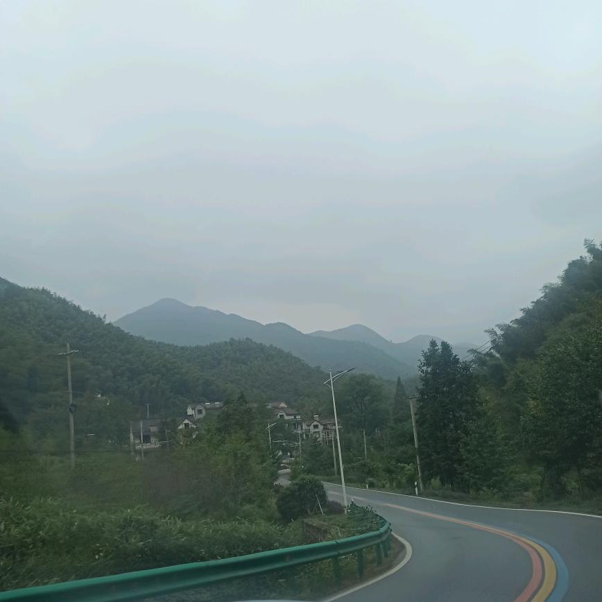 小楠瓜