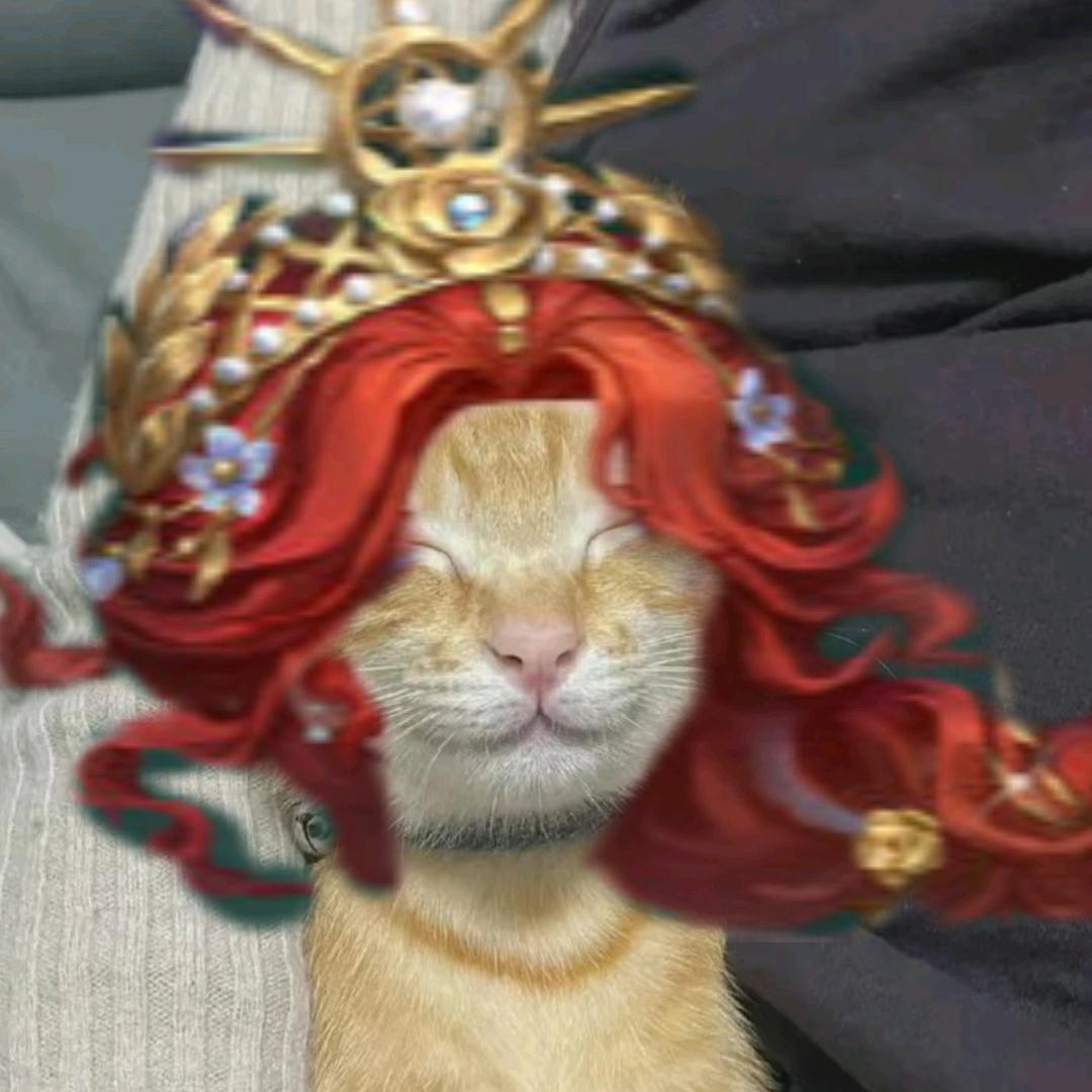 滑蛋猫
