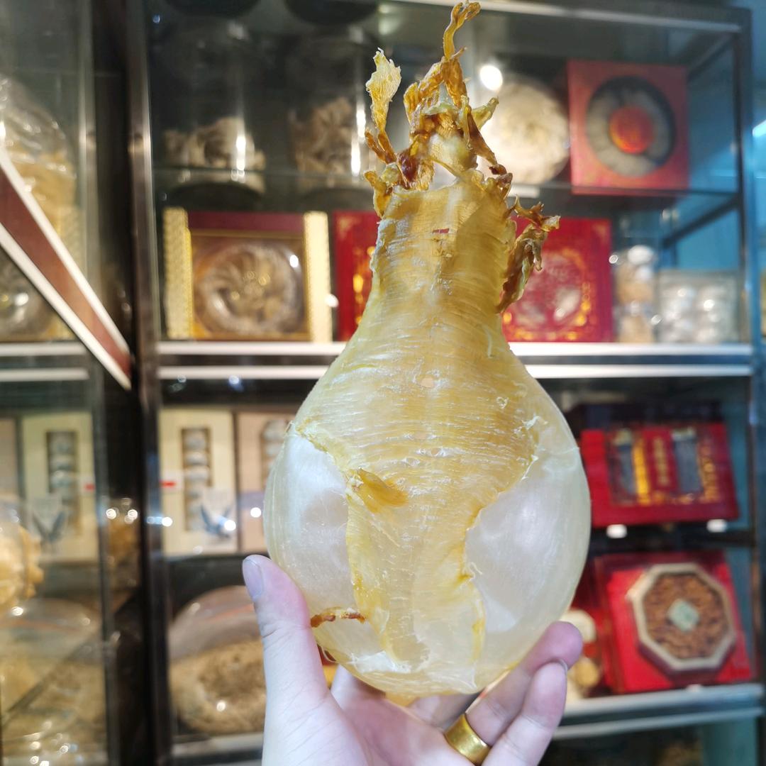 主得分享