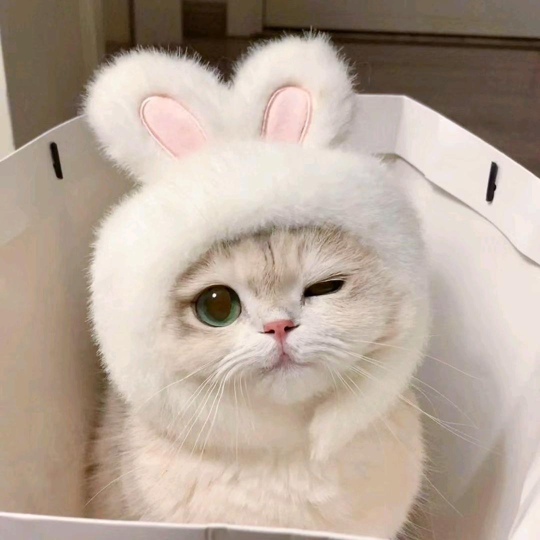 漫舞舞蹈工作室