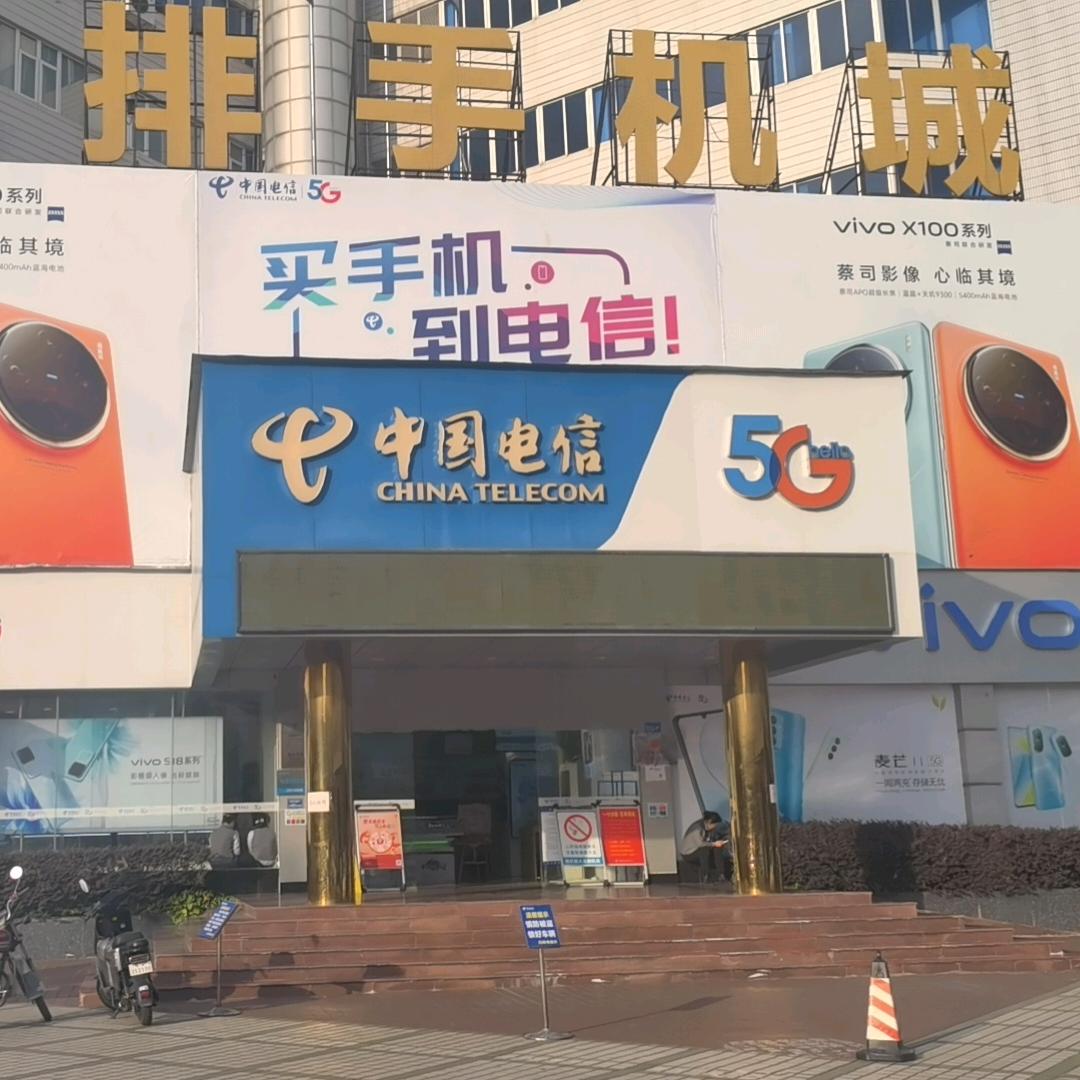 中国电信（东莞石排厅）