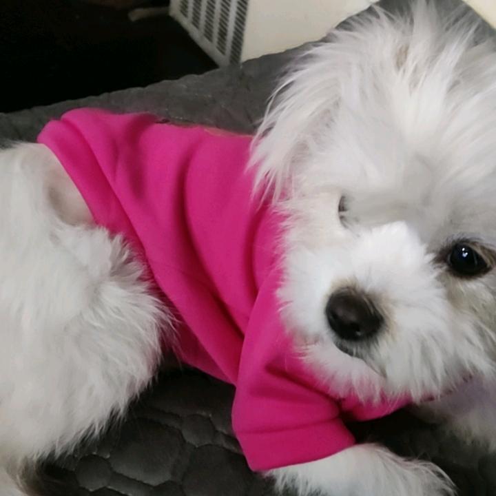 群